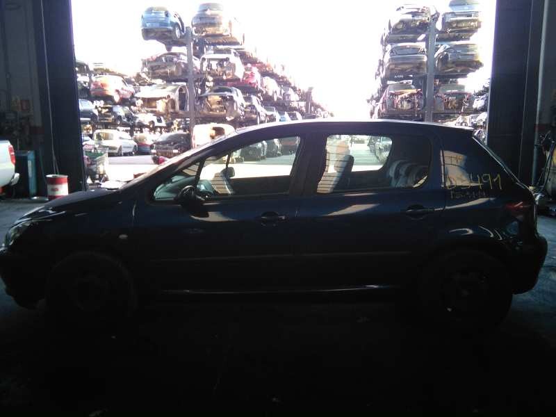 peugeot 307 (s1) del año 2002
