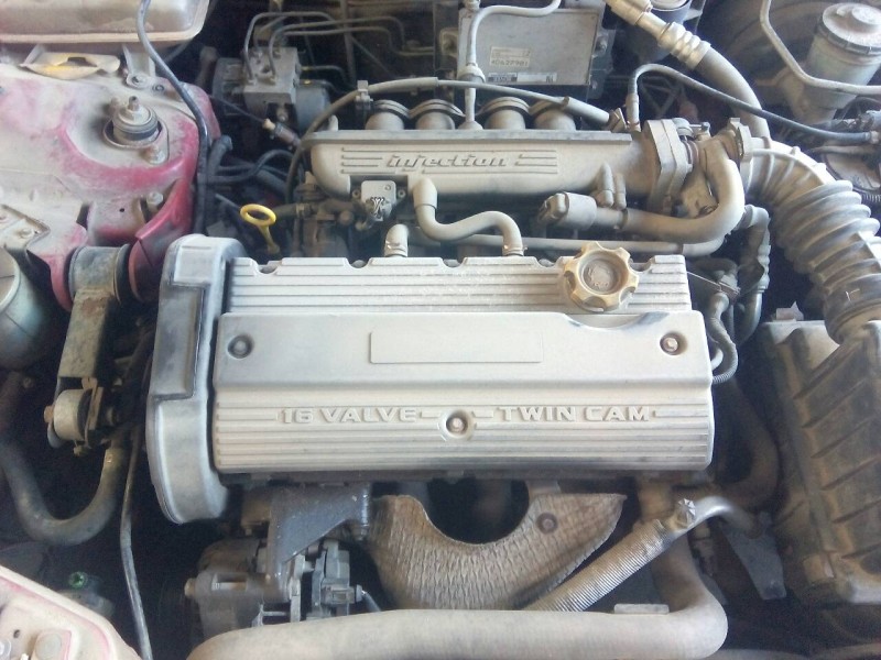 mg mg zs del año 2003