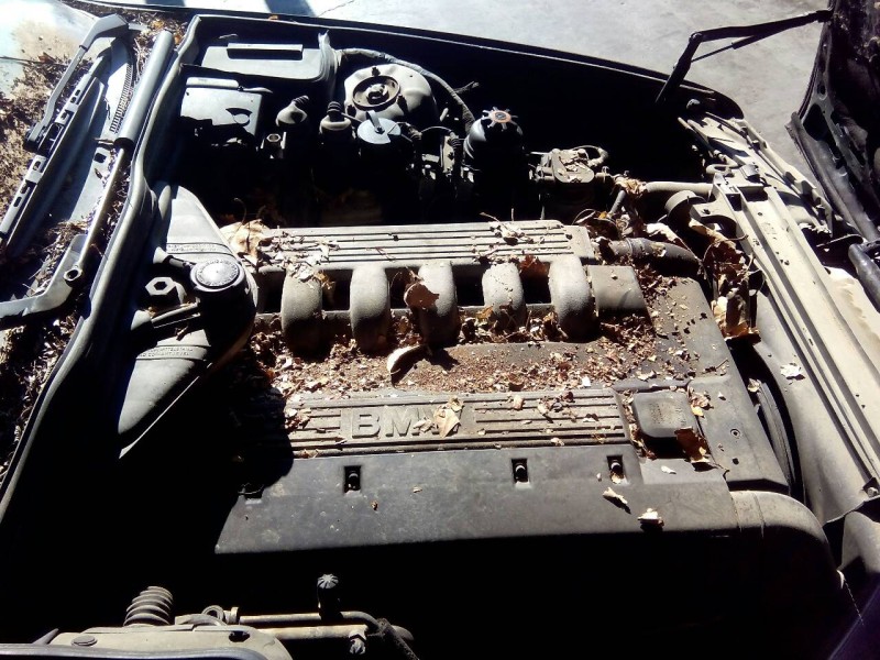 bmw serie 5 berlina (e34) del año 1995