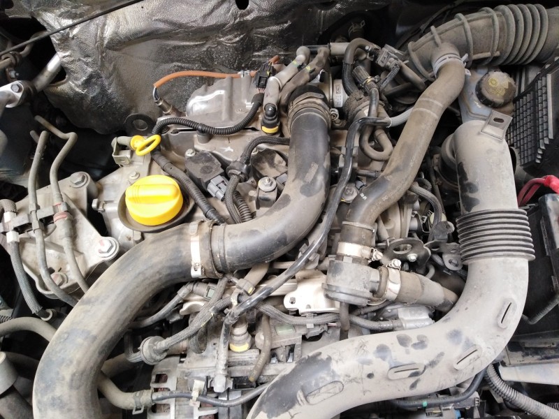 dacia sandero del año 2019