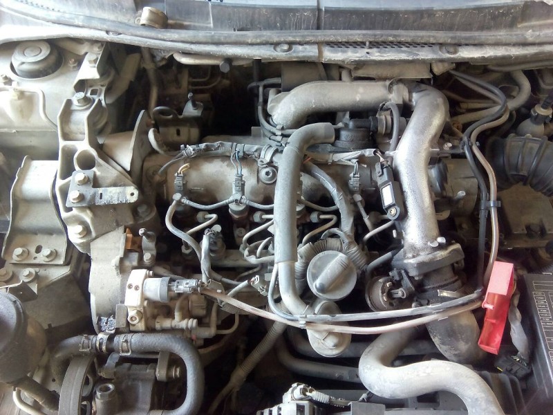 nissan primera berlina (p12) del año 2003