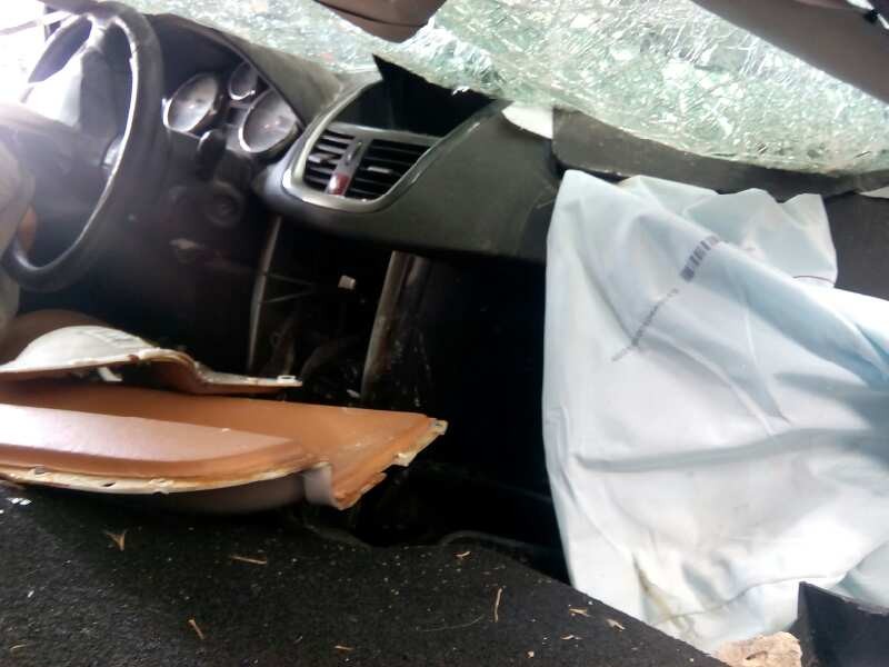 peugeot 207 del año 2009
