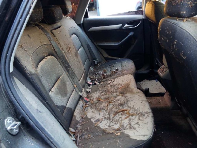 audi q3 (8ug) del año 2016
