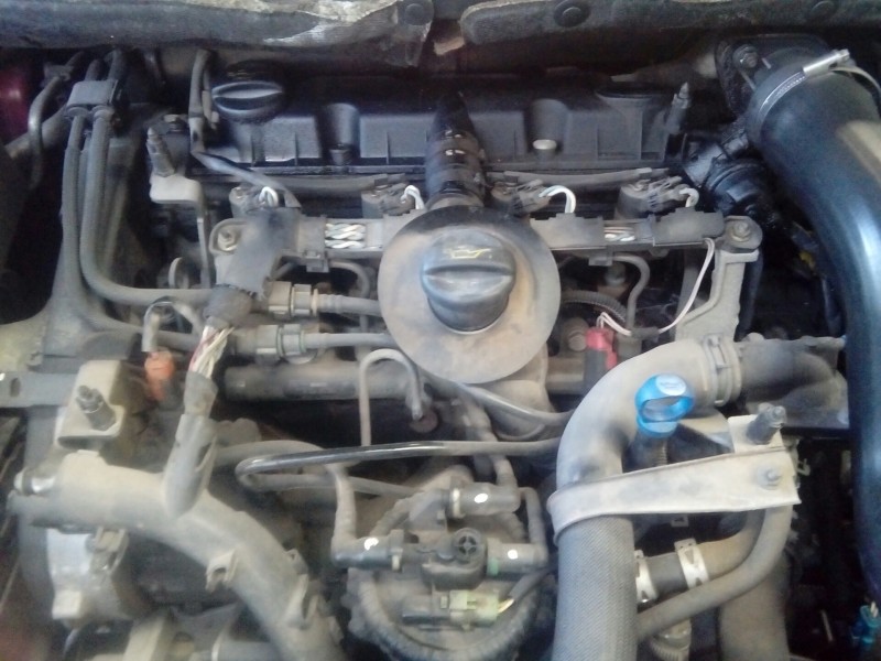 peugeot 307 break / sw (s1) del año 2003