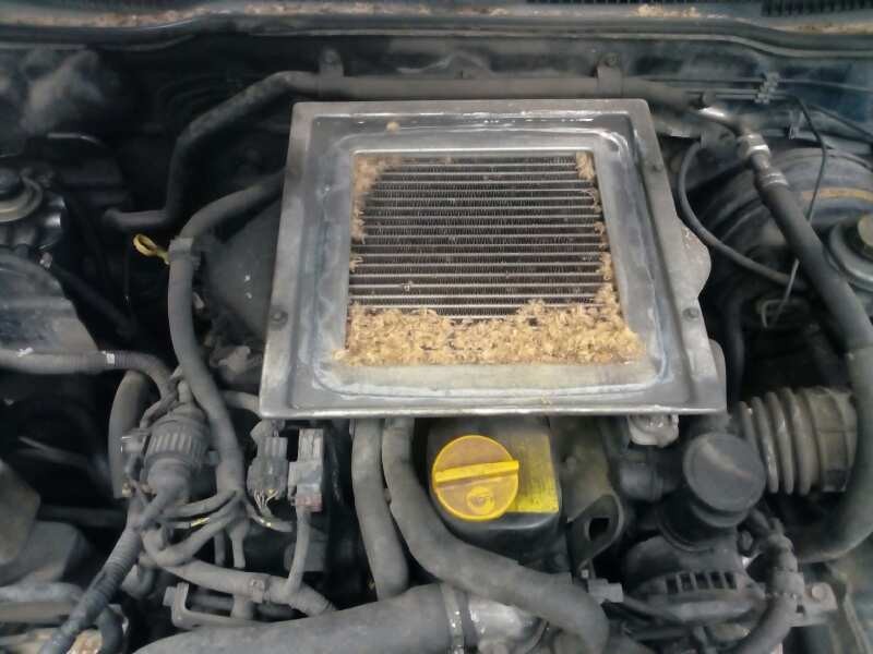 nissan terrano/terrano.ii (r20) del año 1999