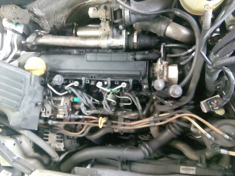 renault kangoo (f/kc0) del año 2003