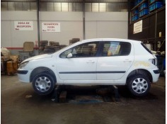 PEUGEOT 307 (S1)