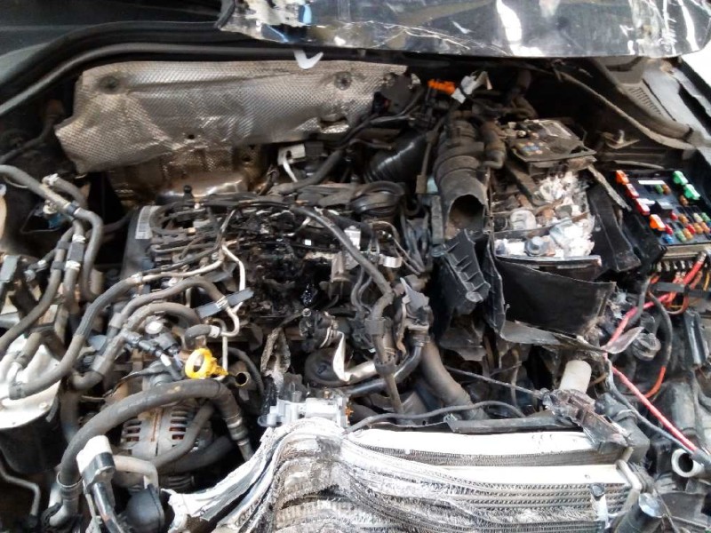 volkswagen tiguan (5n1) del año 2013