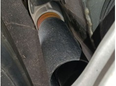 Recambio de amortiguador trasero izquierdo para audi q8 (4mn, 4mt) 55 tfsi mild hybrid quattro referencia OEM IAM   