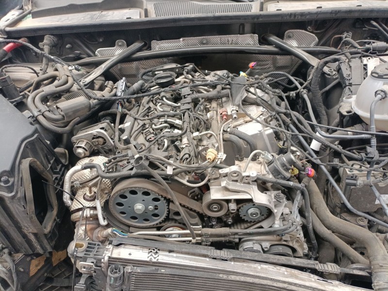 audi q5 (fyb, fyg) del año 2021