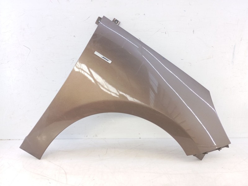 Recambio de aleta delantera derecha para renault scenic iii bose edition referencia OEM IAM   