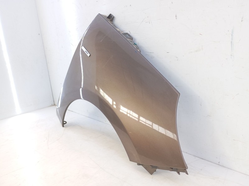 Recambio de aleta delantera derecha para renault scenic iii bose edition referencia OEM IAM   