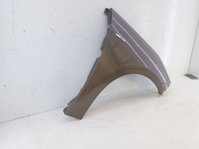 Recambio de aleta delantera derecha para renault scenic iii bose edition referencia OEM IAM   