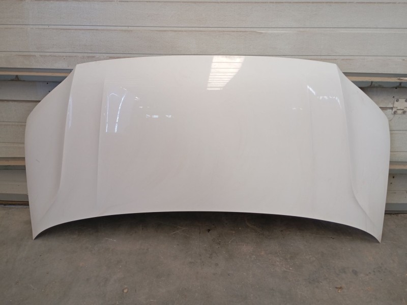 Recambio de capot para volkswagen crafter furgoneta (sy_, sx_) 2.0 tdi referencia OEM IAM   E5-A2-2