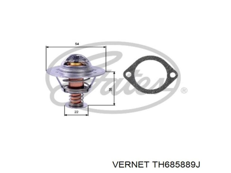 Recambio de termostato para » otros... modelos referencia OEM IAM TH685889J NUEVO T1-4-B4-2