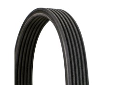 Recambio de correa accesorios para  referencia OEM IAM 6DPK1195 NUEVO 8021787038491 036687417190