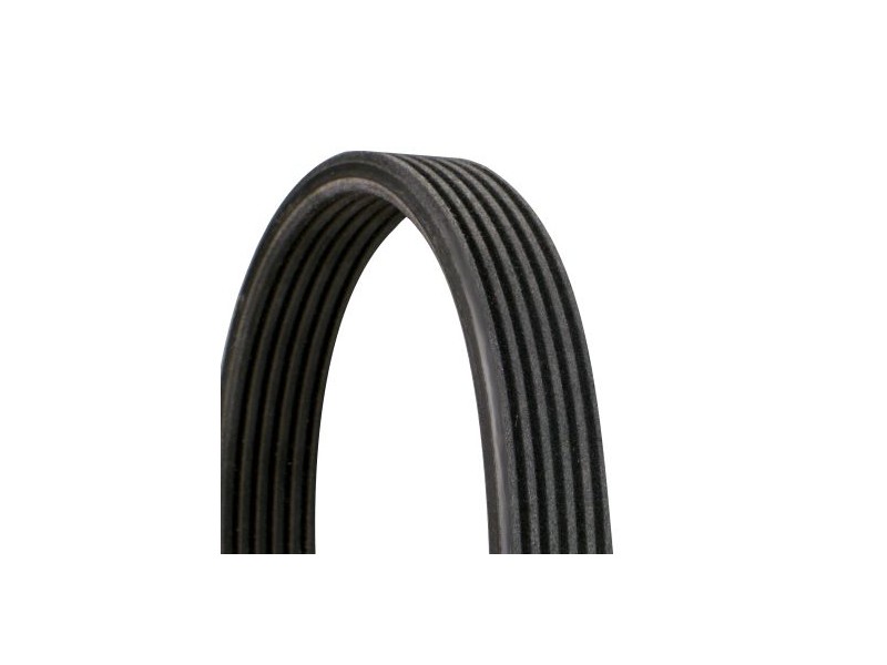 Recambio de correa accesorios para  referencia OEM IAM 6DPK1195 NUEVO 8021787038491 036687417190