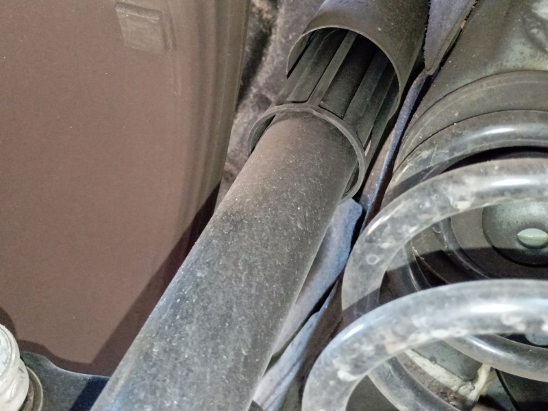 Recambio de amortiguador trasero izquierdo para cupra formentor (km7, kmp) 1.5 tsi referencia OEM IAM   