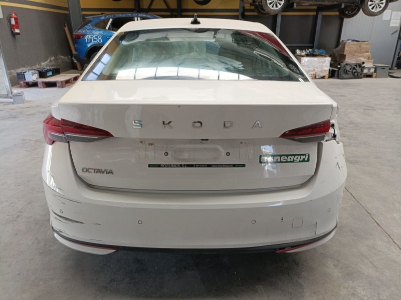 skoda octavia iv (nx3, nn3, pv3) del año 2025