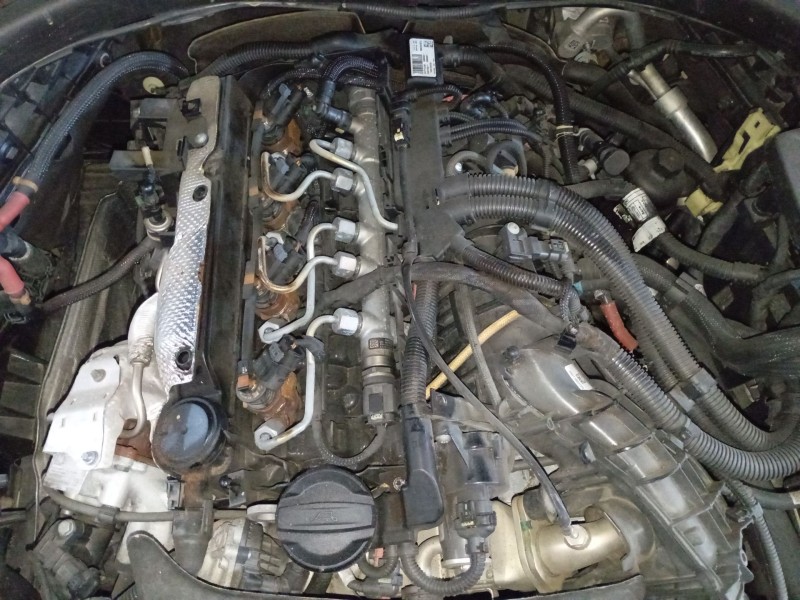bmw 3 (g20, g80, g28) del año 2020