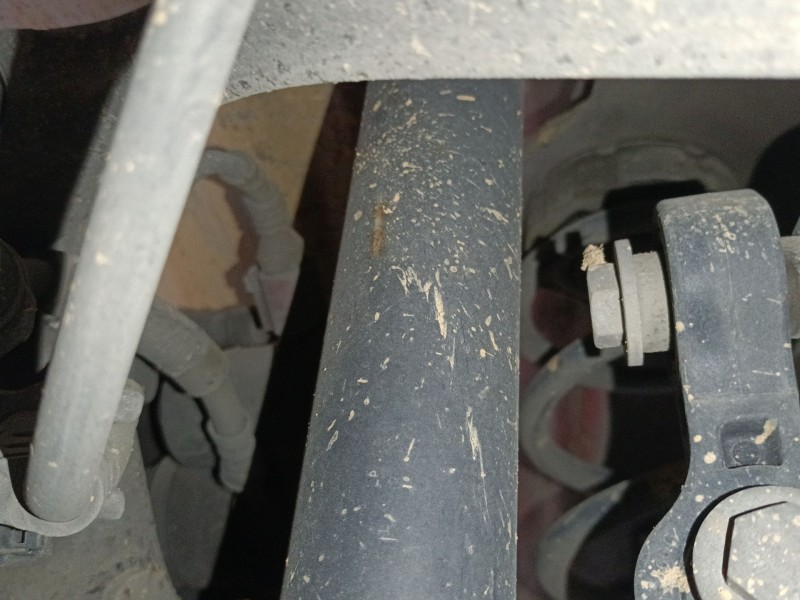 Recambio de amortiguador trasero izquierdo para audi a5 (8t3) 2.0 tdi referencia OEM IAM   
