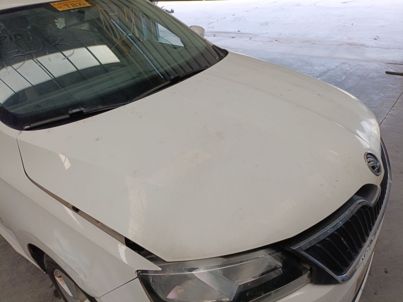 Recambio de capot para skoda rapid (nh3, nk3, nk6) 1.6 tdi referencia OEM IAM   