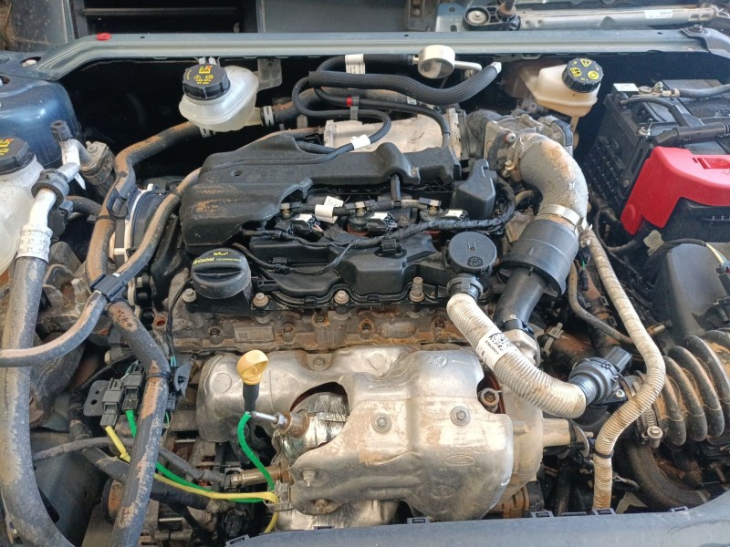 ford focus iv (hn) del año 2022