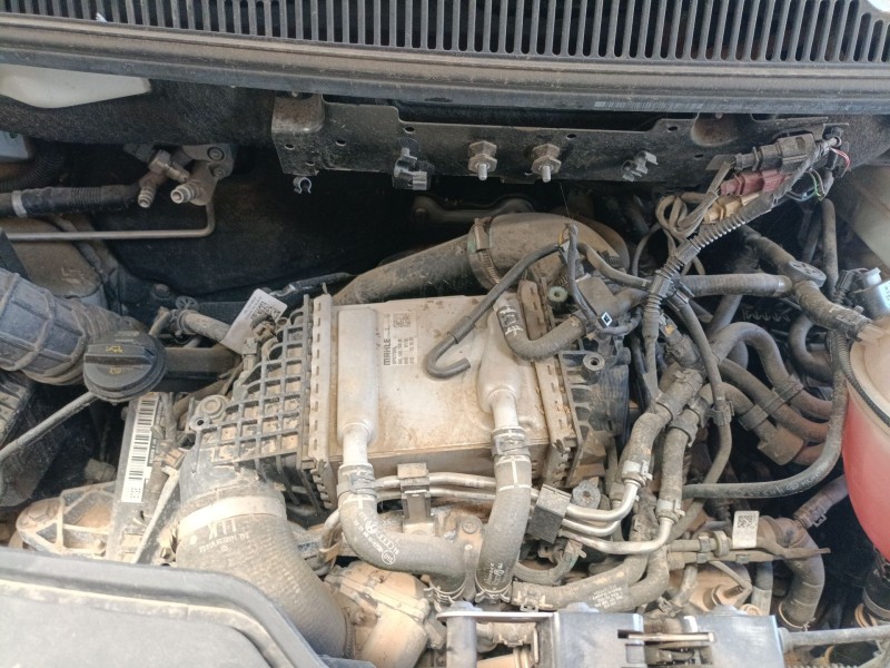 volkswagen transporter t6 / caravelle t6 autobús (sgb, sgj, shb, shj) del año 2021