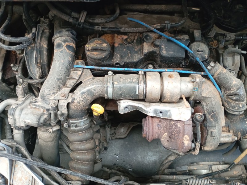 ford tourneo connect / grand tourneo connect v408 monospace del año 2014