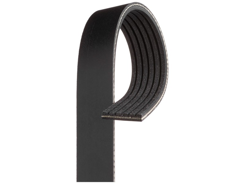 Recambio de correa accesorios para  referencia OEM IAM 4PK812  TIENDA NUEVO