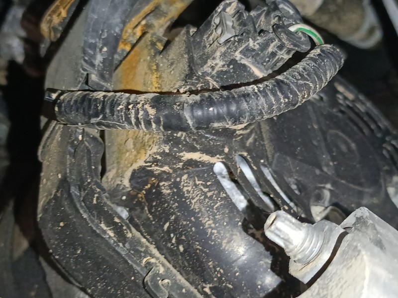Recambio de alternador para ford ecosport 1.0 ecoboost referencia OEM IAM   