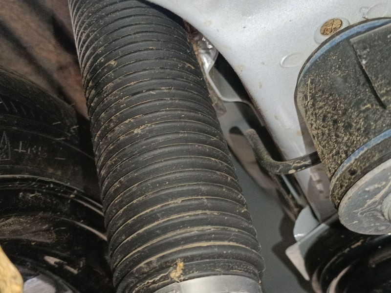 Recambio de amortiguador trasero derecho para ford focus iv turnier (hp) 1.0 ecoboost mhev referencia OEM IAM   