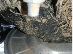 Recambio de mangueta trasera derecha para ford focus iv turnier (hp) 1.0 ecoboost mhev referencia OEM IAM   
