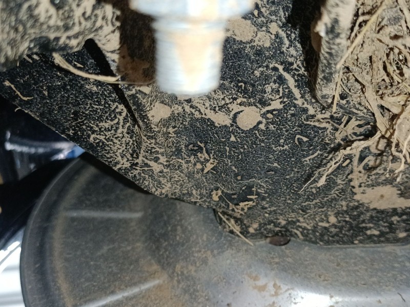 Recambio de mangueta trasera derecha para ford focus iv turnier (hp) 1.0 ecoboost mhev referencia OEM IAM   