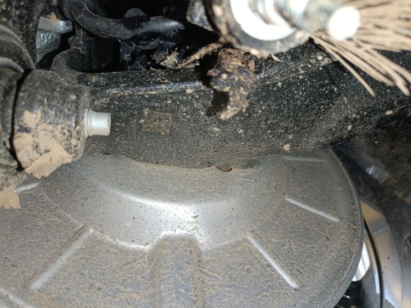 Recambio de mangueta trasera izquierda para ford focus iv turnier (hp) 1.0 ecoboost mhev referencia OEM IAM   