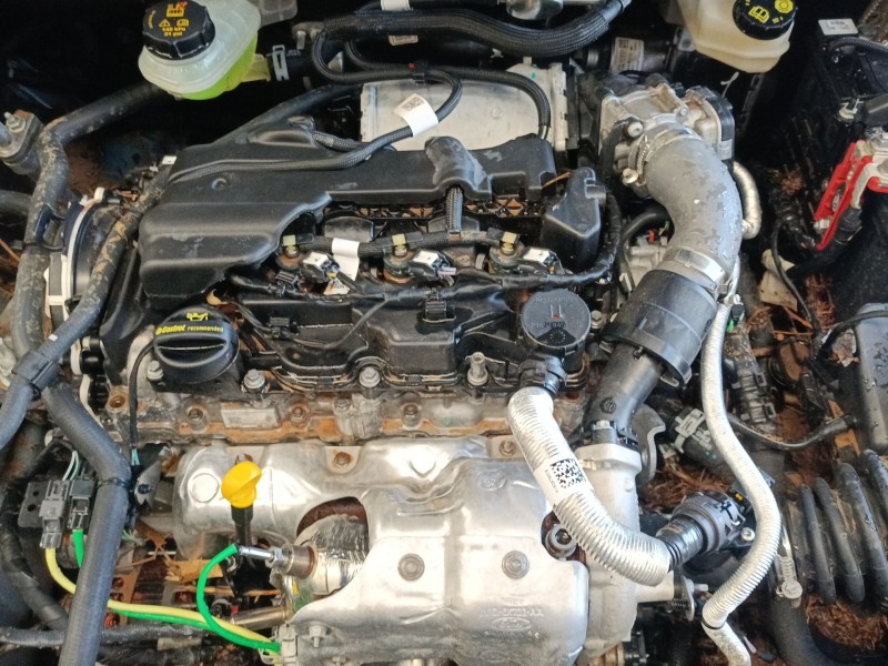 ford focus iv (hn) del año 2022