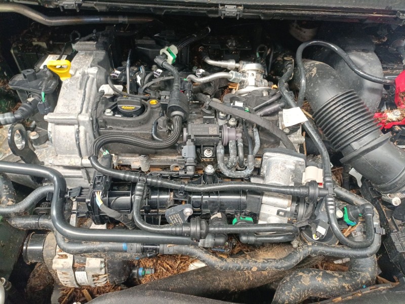 ford tourneo combi v769 del año 2024