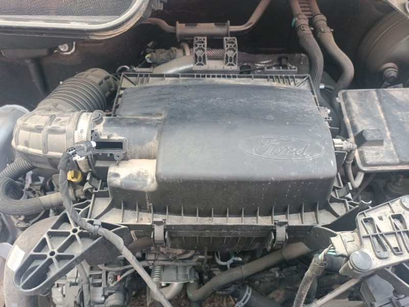 Recambio de filtro aire para ford transit v363 furgoneta (fcd, fdd) 2.0 ecoblue referencia OEM IAM   