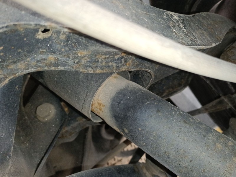 Recambio de amortiguador trasero izquierdo para nissan pathfinder iii (r51) 2.5 dci 4wd referencia OEM IAM   