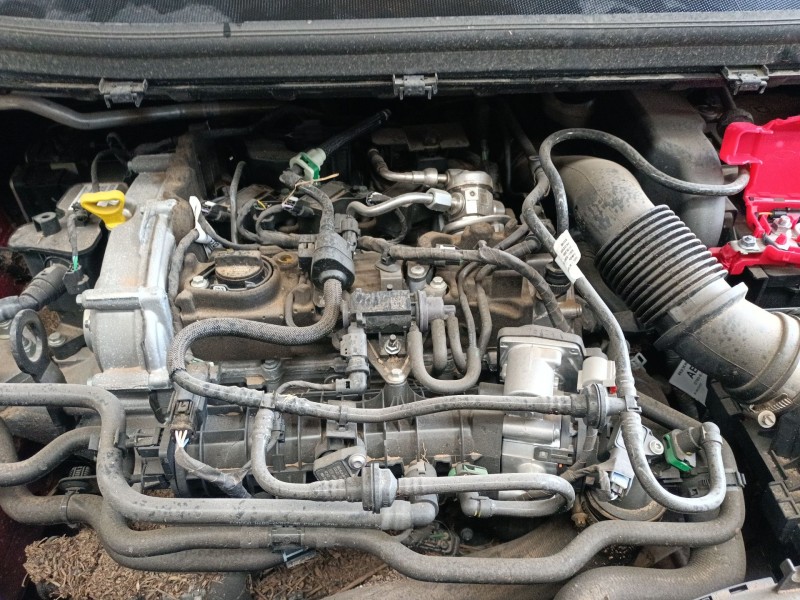 ford tourneo combi v769 del año 2024