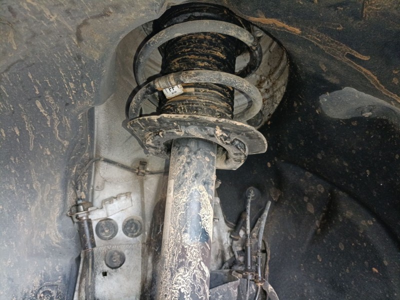 Recambio de amortiguador delantero izquierdo para bmw 1 (f20) 118 d referencia OEM IAM   