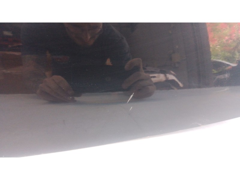 Recambio de puerta trasera derecha para bmw 1 (f20) 118 d referencia OEM IAM   