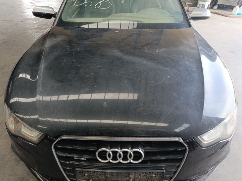 Recambio de capot para audi a5 (8t3) 3.0 tdi quattro referencia OEM IAM   