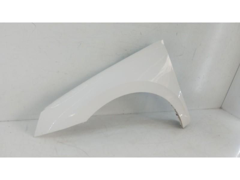 Recambio de aleta delantera izquierda para skoda scala (nw1) 1.0 tsi referencia OEM IAM   E4-B3-11