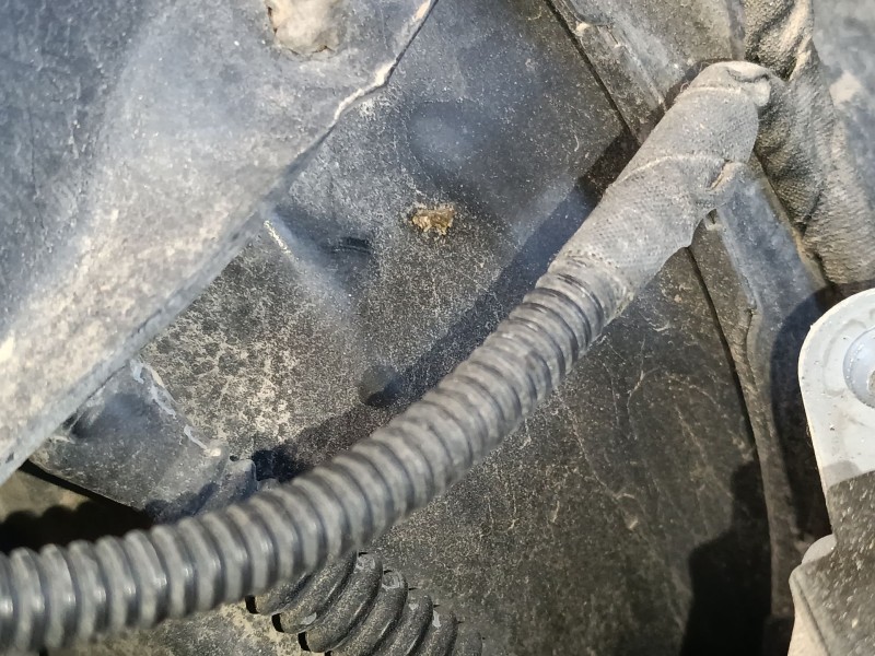Recambio de servofreno para audi a5 (8t3) 3.0 tdi quattro referencia OEM IAM   