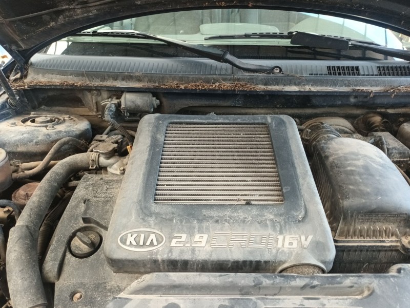 kia carnival ii (gq) del año 2004