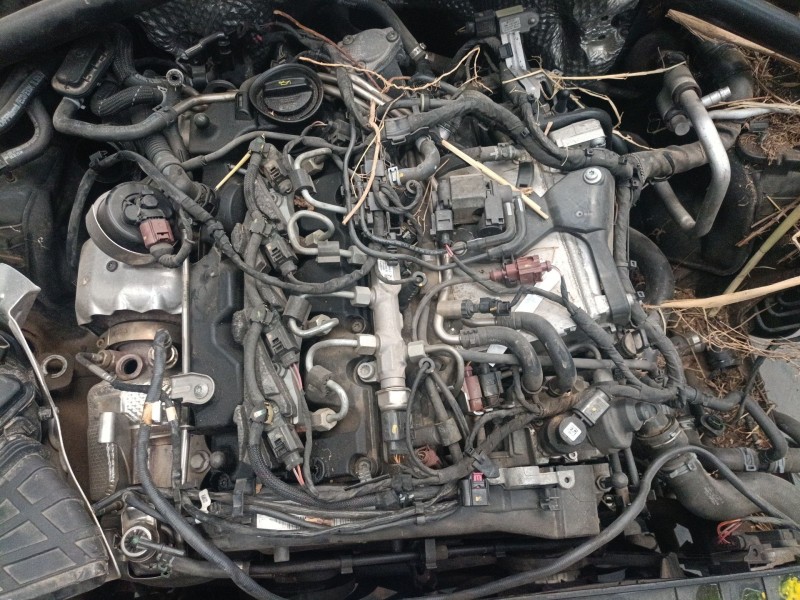 Recambio de motor completo para audi q5 (8rb) 2.0 tdi quattro referencia OEM IAM   