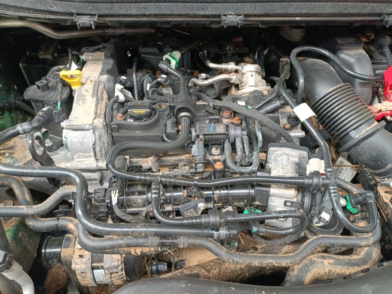 ford tourneo combi v769 del año 2024