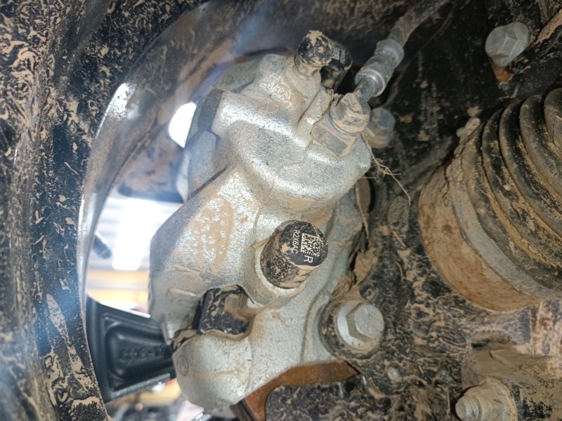 Recambio de pinza freno delantera derecha para ford tourneo combi v769 referencia OEM IAM   