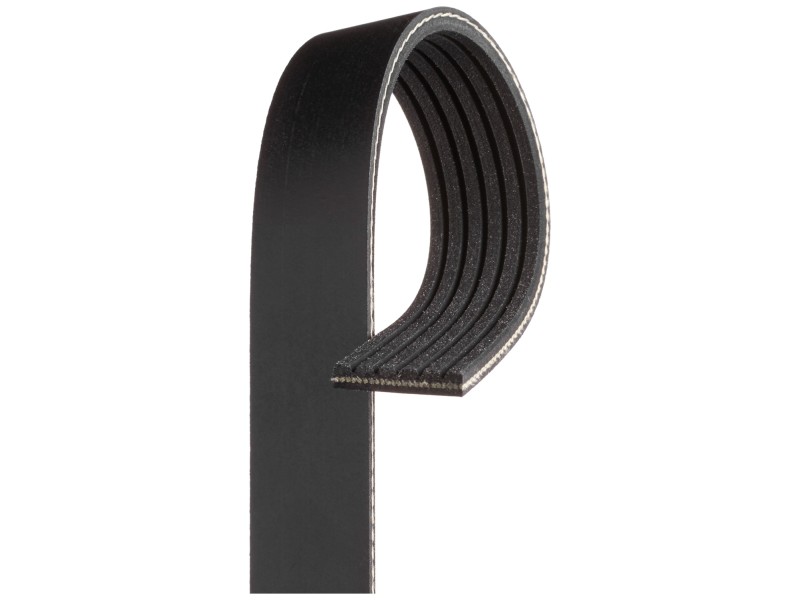 Recambio de correa accesorios para  referencia OEM IAM 5PK1145  TIENDA NUEVO